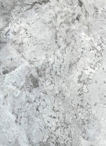 Tundra Grey Polished