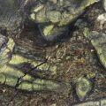 Verde Amazonia Granite Slab 1