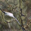 Verde Amazonia Granite Slab 3