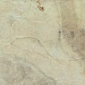 Slaty Almond Porcelain 3