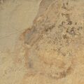 Slaty Ochre Porcelain 1