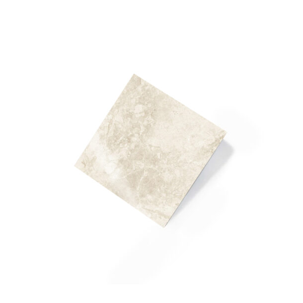 Tundra Beige Porcelain Lapatto Tile 1