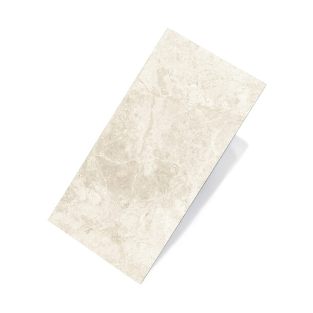 Tundra Beige Porcelain Matt Tile 2