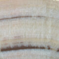 Onyx Arco Vein Cut Polished 3