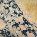 Arabescato Siena Polished 5