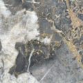 Crystal Grey Honed Slab 5
