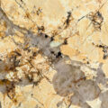 Patagonia Quartzite Slab
