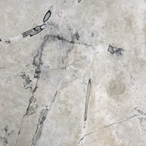 Philadelphia Silver Travertine – Cross Cut