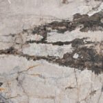 Silver Root Honed
