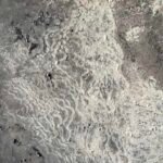 Silver Travertine- Tumbled