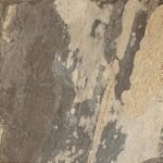 Slaty Multicolor