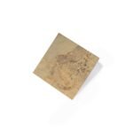 Slaty Ochre