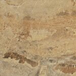 Slaty Ochre