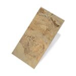 Slaty Ochre