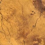 Travertine Giallo -Tumbled