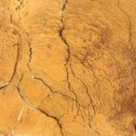 Travertine Giallo -Tumbled