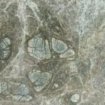 Valley Green Granite