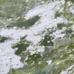 Verde Fantastico