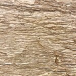 Walnut Travertine – Honed