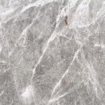 Grey Shadow